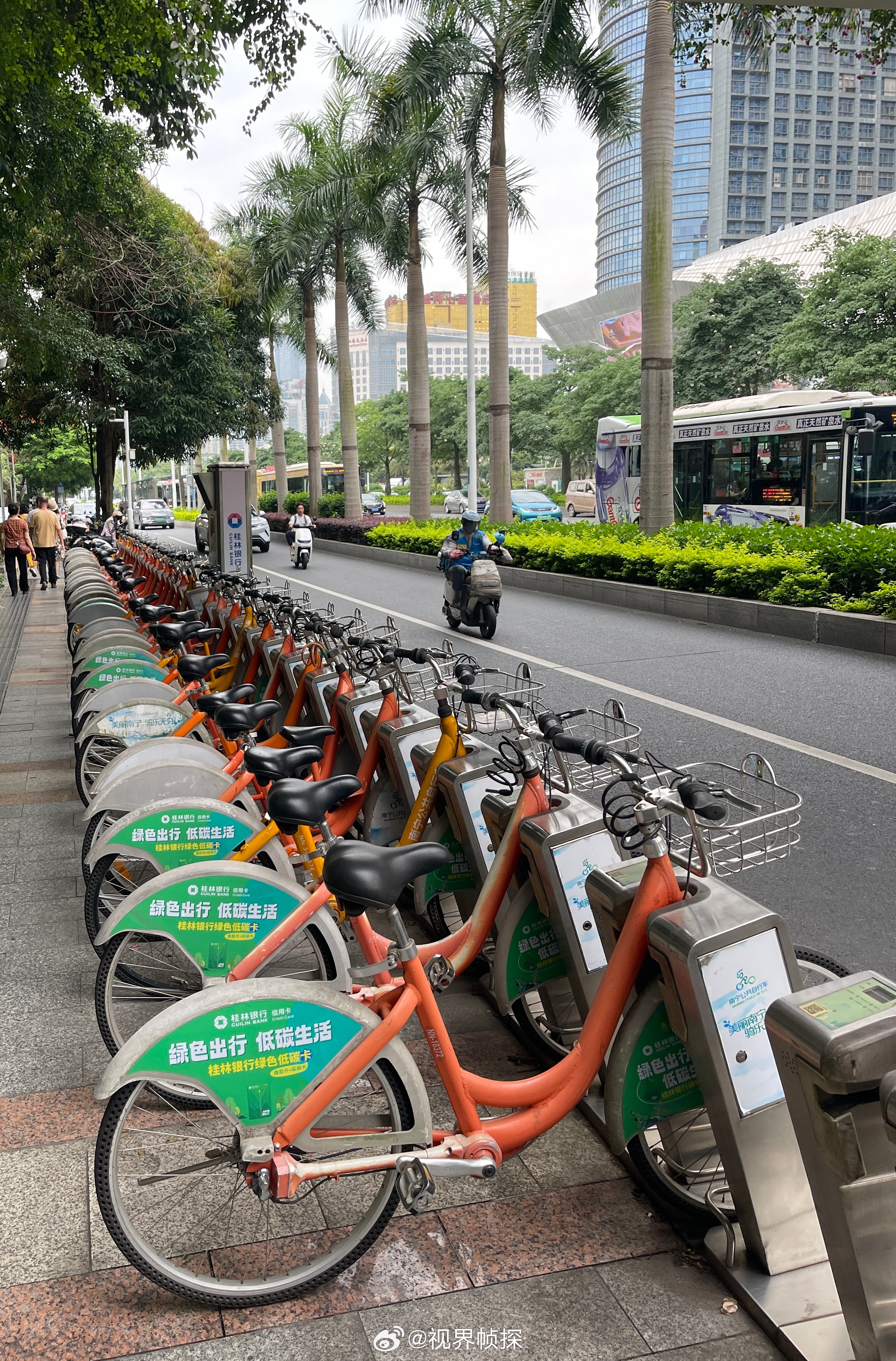 广东省低碳出行，绿色生活的先行者