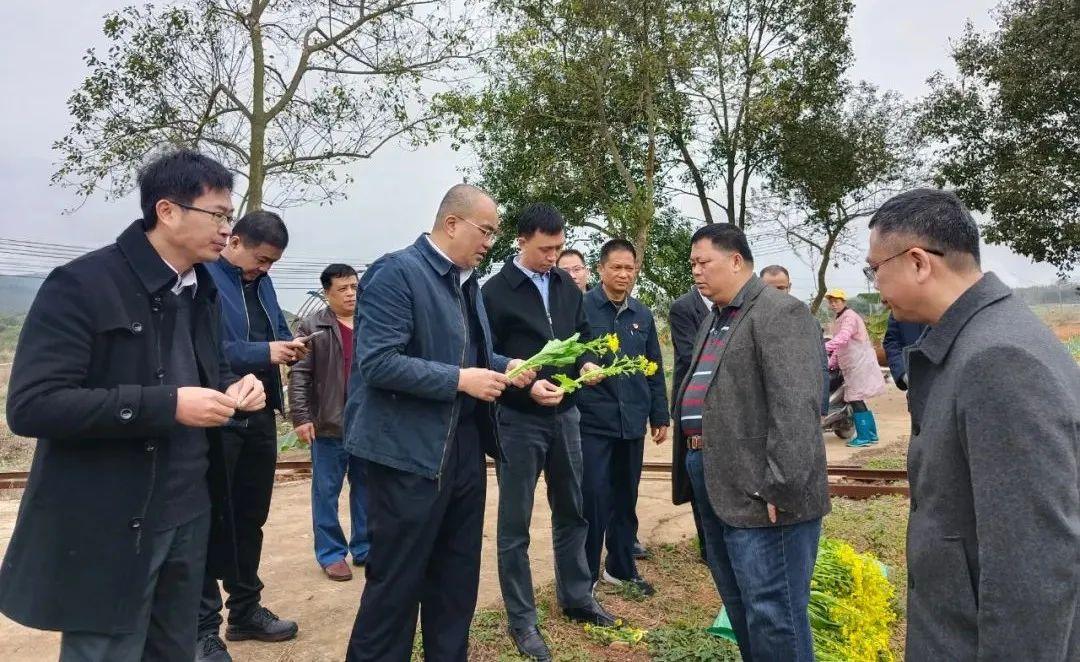 广东省供销合作社的数量及其影响研究