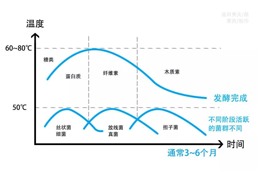 半岁与时间的奥秘，深入了解六个月的时间跨度