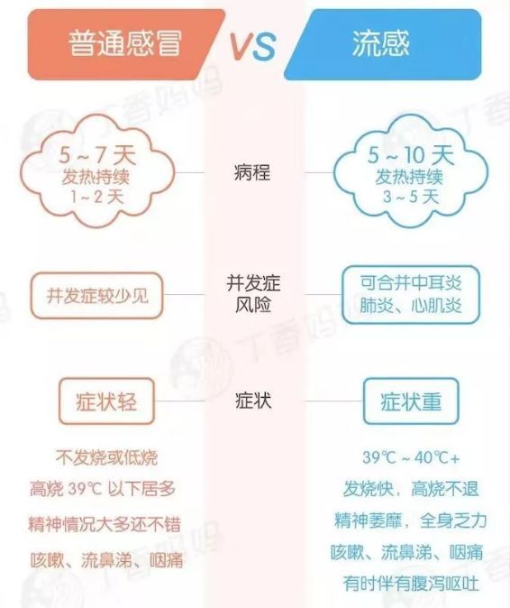 一个月感冒两次，探寻原因与应对策略